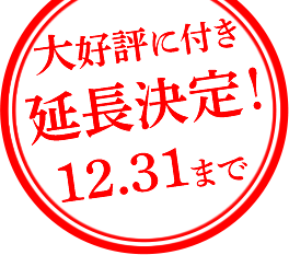 大好評に付き延長決定!12.31まで