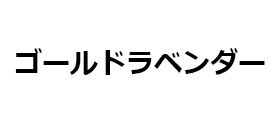 ɥ٥