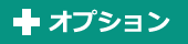 +オプション