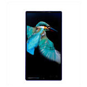 AQUOS PHONE Xx 302SH